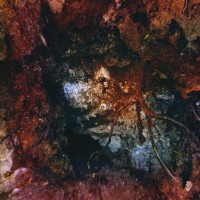 /album/in-the-land-behind-the-magic-mirror/a009-abstract-land-jpg/